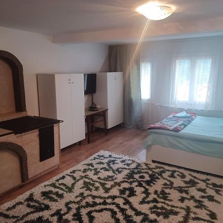 Casa Bucovina Dorna Candrenilor Ascutitele Eksteriør bilde