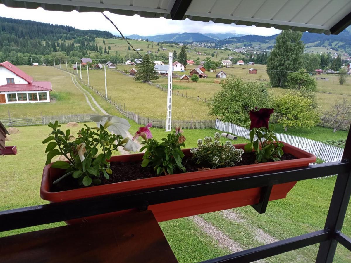Casa Bucovina Dorna Candrenilor Ascutitele Eksteriør bilde