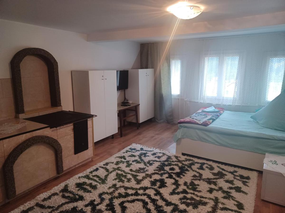 Casa Bucovina Dorna Candrenilor Ascutitele Eksteriør bilde